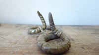Image 4 of Medium Worm Ring Holder #5