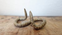 Image 1 of Medium Worm Ring Holder #6