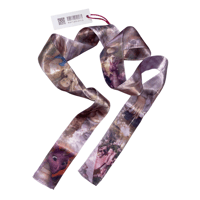 Image 1 of RAPUNZEL ribbon