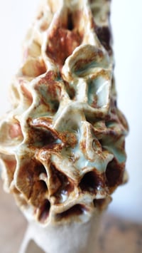 Image 2 of Morel Mushroom Incense Cone Holder #1