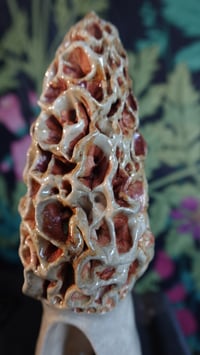 Image 2 of Morel Mushroom Incense Cone Holder #2