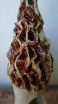 Image 5 of Morel Mushroom Incense Cone Holder #3
