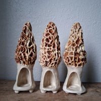 Morel Mushroom Incense Cone Holder PRE-ORDER