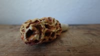 Image 3 of Morel Mushroom Pipe