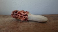 Image 4 of Morel Mushroom Pipe