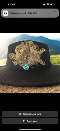 Image 2 of Wild and Free Hat Pin