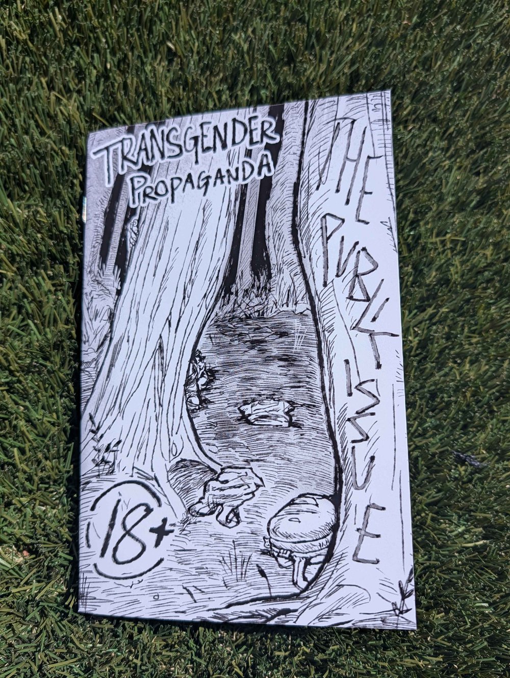 Image of Transgender Propaganda Issue 3: Public
