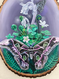 Image 2 of Lavender Phantom