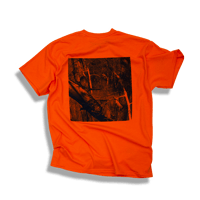 Image 4 of Z-TREE SAFTEY  ORANGE T