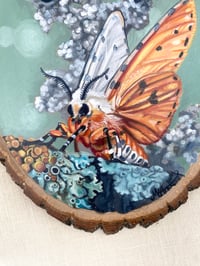 Image 3 of Lichen Biosphere ~ original oil painting 