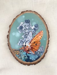 Image 1 of Lichen Biosphere ~ original oil painting 