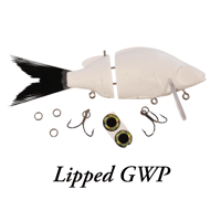 Image 1 of LIPPED GWP / STG BLANKS