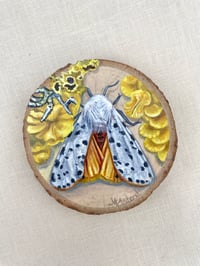 Image 1 of Lemon Glass Light of Day ~ original oil painting