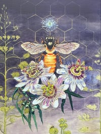 Image 1 of Salvia Melifera ~ canvas print