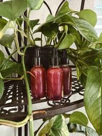 Image 3 of Velvet Tempest Spell Oil