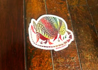 Armadillo Sticker