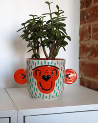 Image 1 of Monkey Plant Pot
