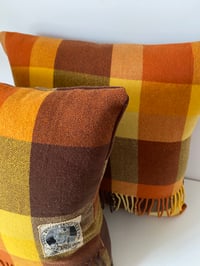 Image 2 of Kaiapoi Wool Cushions 