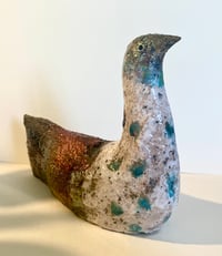 Image 2 of SPOTTED SEABIRD 