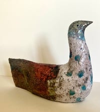 Image 4 of SPOTTED SEABIRD 