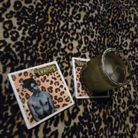 Image 3 of IVY & LUX Coaster Set