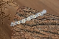 Image 2 of Mohair Tieback 216