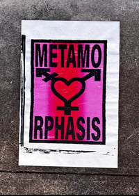 Metamorphosis 