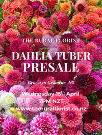 Dahlia Tuber Shipping Balance Payment