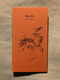 Image 1 of BLOWFLY