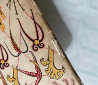 Image 4 of Seashore Life and Pattern (A)