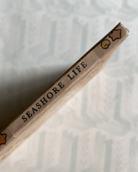 Image 2 of Seashore Life and Pattern (B)