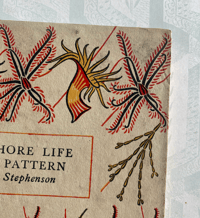 Image 3 of Seashore Life and Pattern (B)