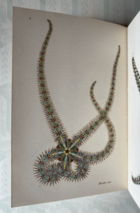 Image 4 of Seashore Life and Pattern (B)