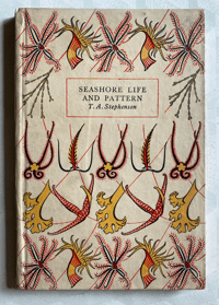 Image 1 of Seashore Life and Pattern (B)