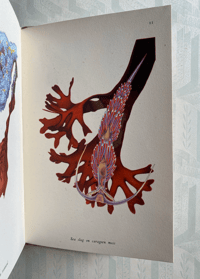 Image 6 of Seashore Life and Pattern (B)