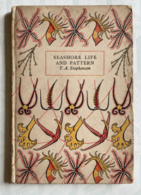 Image 1 of Seashore Life and Pattern (C)