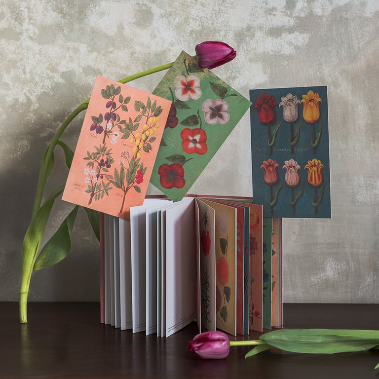RECUEIL DE CARTES POSTALES FLEURS Image 2