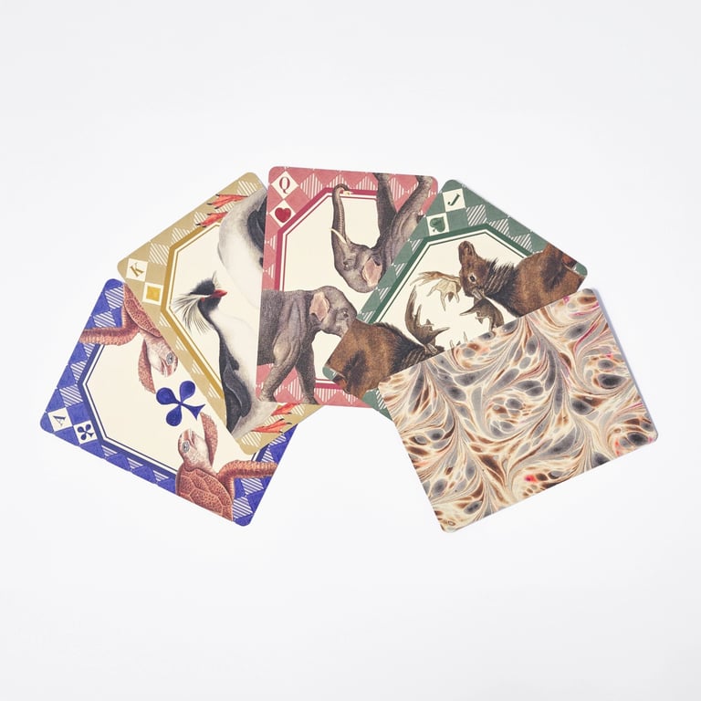 JEU DE CARTES À JOUER - LE RÈGNE ANIMAL Image 6