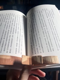 Image 4 of 展翅蛾拇指書壓