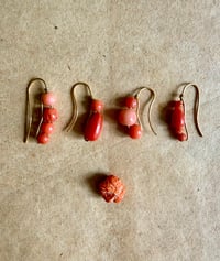 Image 4 of Boucles uniques en corail 