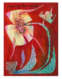 Monkey-Face Orchid Print