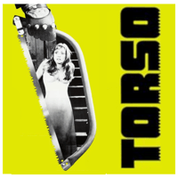 Torso
