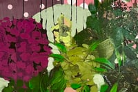 Image 6 of "Dot" by Anna Kincaide