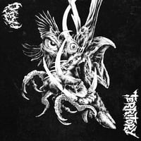 Image 1 of AGLO/TERRITORY – Split LP [Pre-Order. Out 6.26.26]