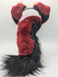 Red and black puppy set
