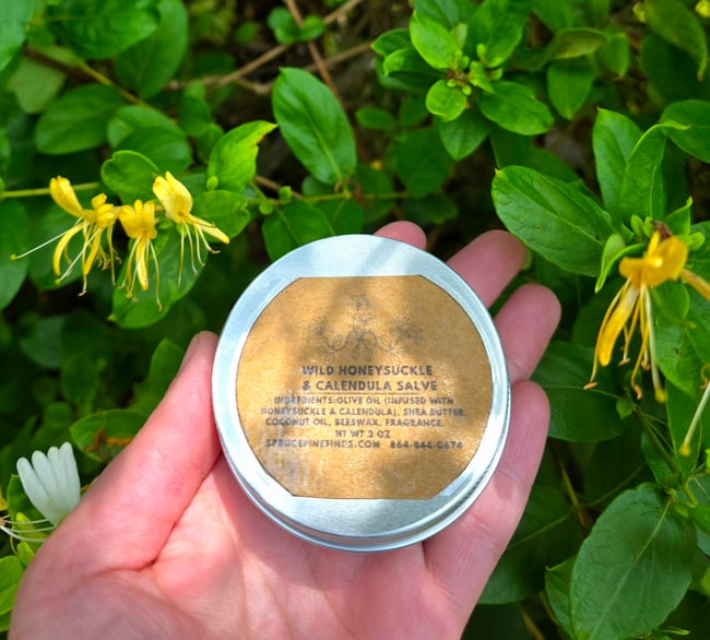 Wild Honeysuckle & Calendula Salve 