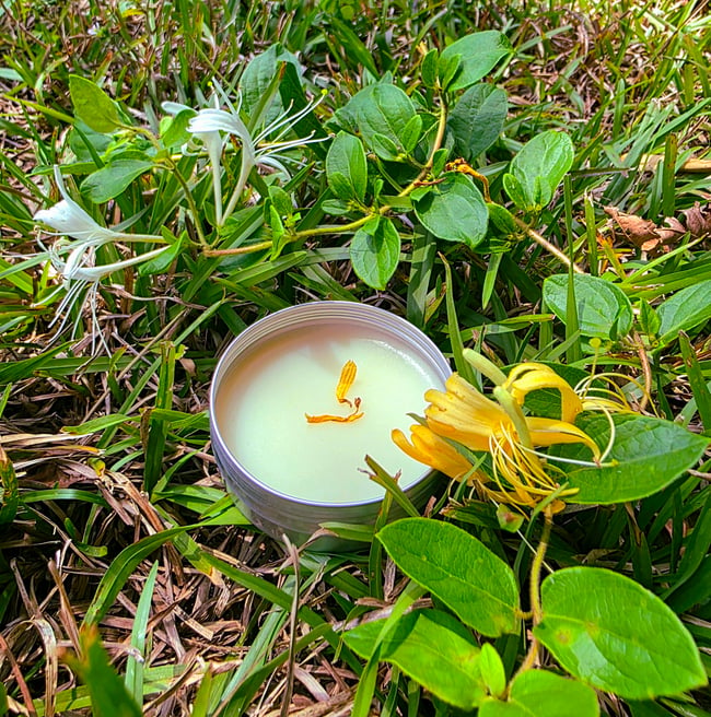 Wild Honeysuckle & Calendula Salve 