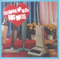 BIG MESS - Cleaning Up With