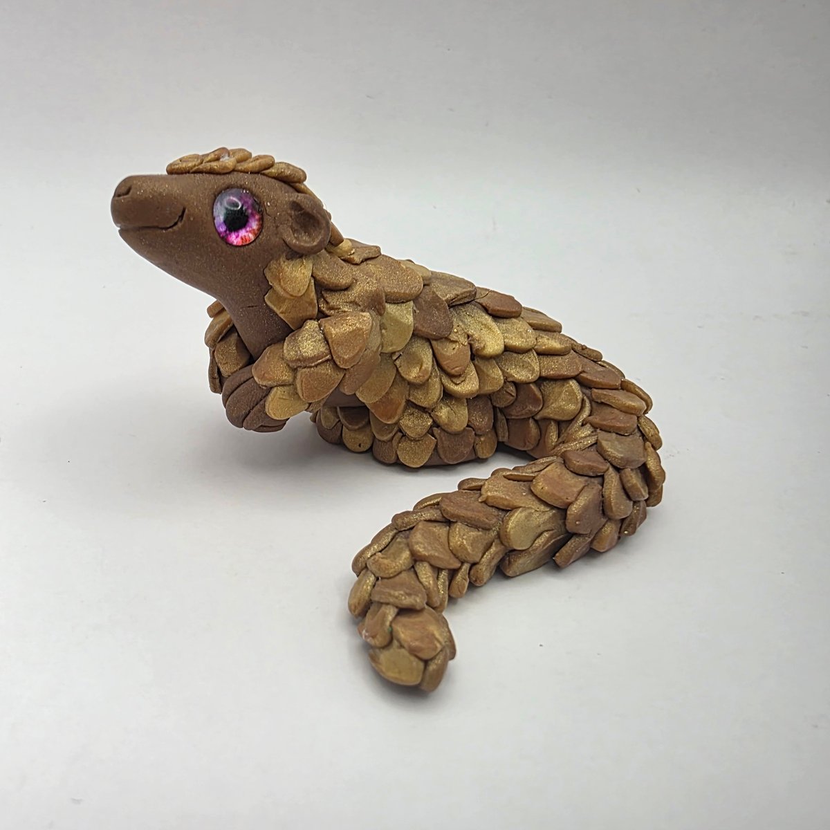 Little Pangolin