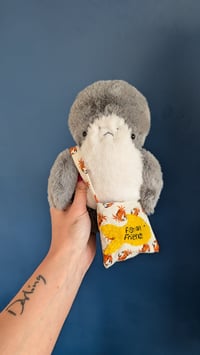 Image 4 of Finley the shark